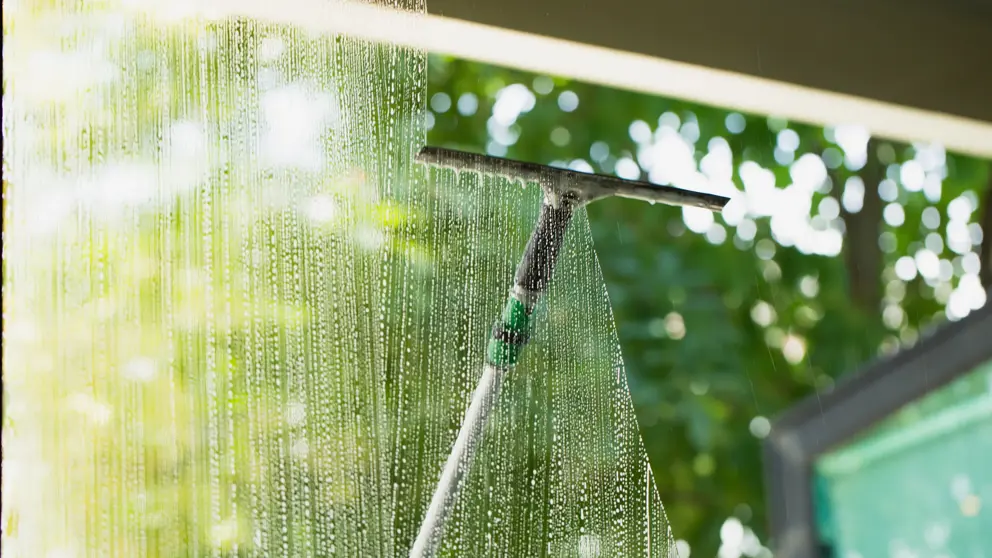Student Window Cleaning PBSA