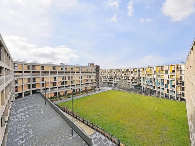 beton-house-sheffield-outdoor-space.webp